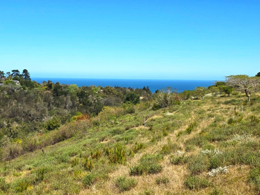 Commercial Property for Sale in Hoekwil Western Cape